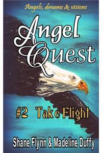 Angel Quest, Take Flight
