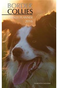 Border Collies Weekly Planner 2016