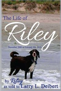 Life Of Riley