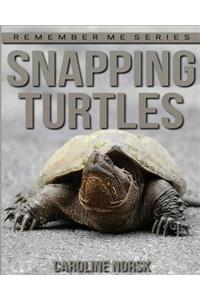 Snapping Turtles