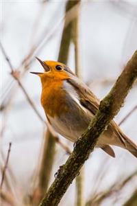 Michigan State Bird - American Robin Journal