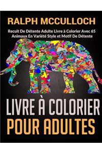 Livre à Colorier Pour Adultes