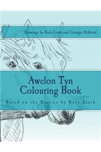 Awelon Tyn Colouring Book