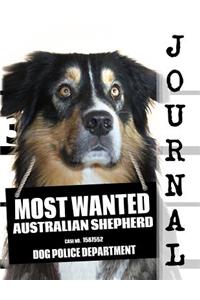 Most Wanted Australian Shepherd Journal: Diary Notebook