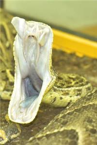 Puff Adder Journal