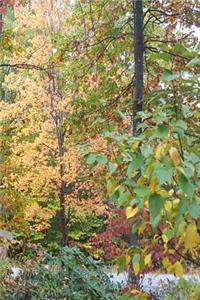 Journal Autumn Colors Fall Foliage