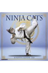 Ninja Cats 2020 Wall Calendar