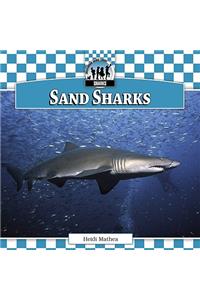 Sand Sharks