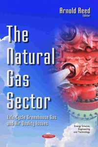 Natural Gas Sector