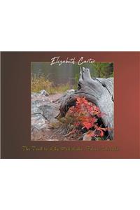 The Trail to Lily Pad Lake, Frisco, Colorado