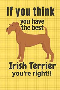 If you think you have the best Irish Terrier you're right!!