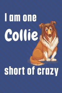 I am one Collie short of crazy