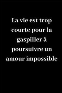 La vie est trop courte pour la gaspiller à poursuivre un amour impossible