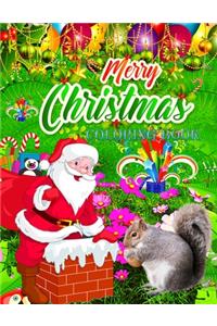 Merry Christmas Coloring Book