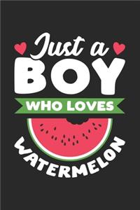 Just A Boy Who Loves Watermelon