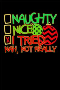 Naughty Nice I Tried