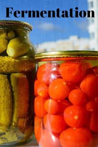 Fermentation