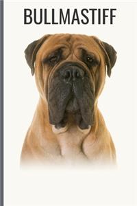 Bullmastiff