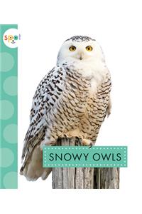 Snowy Owls