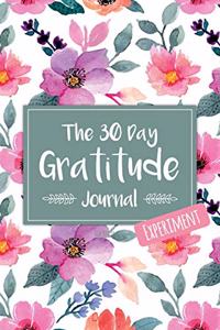 The 30 Day Gratitude Journal Experiment for Beginners