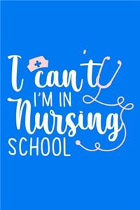 I Can't I'm In Nursing School