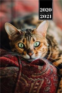 Bengal Cat Kitten Kitty Tomcat Week Planner Organizer 2020 / 2021 - Relax