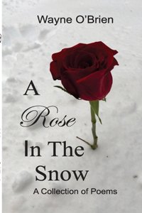 Rose In The Snow