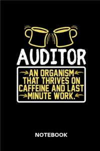 Auditor - Notebook
