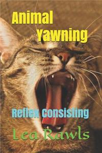 Animal Yawning