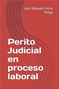 Perito Judicial En Proceso Laboral