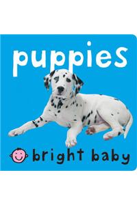 Bright Baby: Puppies