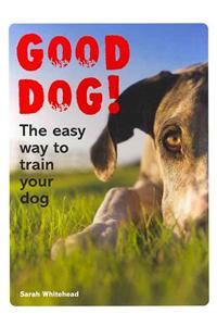 Good Dog!