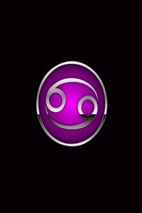 Daily Organizer Planner