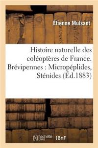 Histoire Naturelle Des Coléoptères de France. Brévipennes: Micropéplides, Sténides