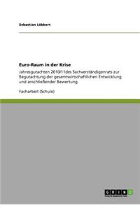 Euro-Raum in Der Krise