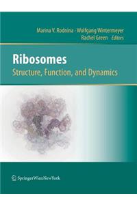 Ribosomes Structure, Function, and Dynamics