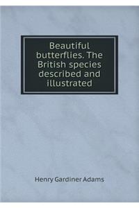 Beautiful Butterflies. the British Species Described and Illustrated