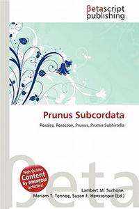 Prunus Subcordata
