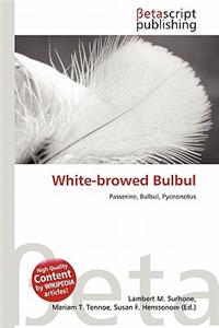 White-Browed Bulbul