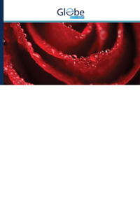 Це є Україна