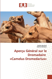 Aperçu Général sur le Dromadaire Camelus Dromedarius