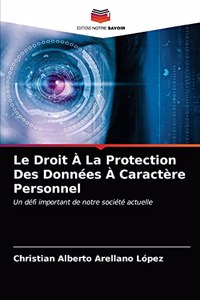 Le Droit À La Protection Des Données À Caractère Personnel