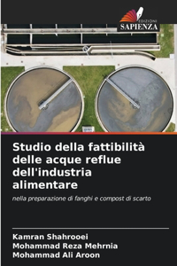 Studio della fattibilità delle acque reflue dell'industria alimentare