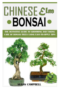 Chinese ELM Bonsai