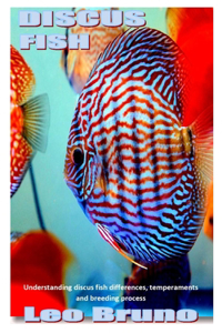 Discus Fish