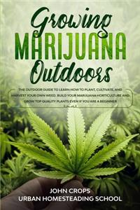 Growing Marijuana Outdoors
