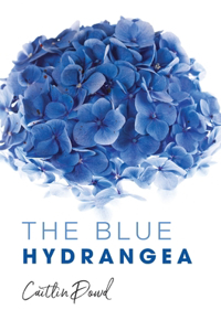 Blue Hydrangea