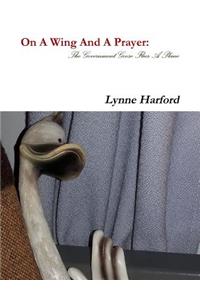 On A Wing And A Prayer: The Government Goose Flies A Plane