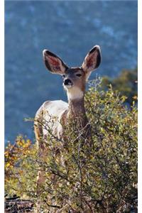 Kids Deer Journal