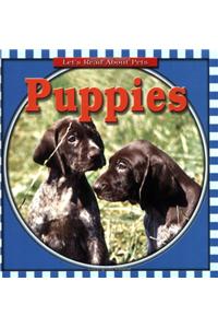 Puppies